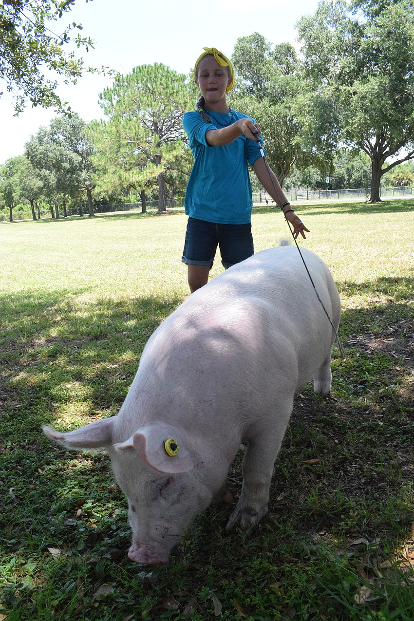 Lydia Egolf, a rising third grader, tries her best to guide Tammy on a walk.