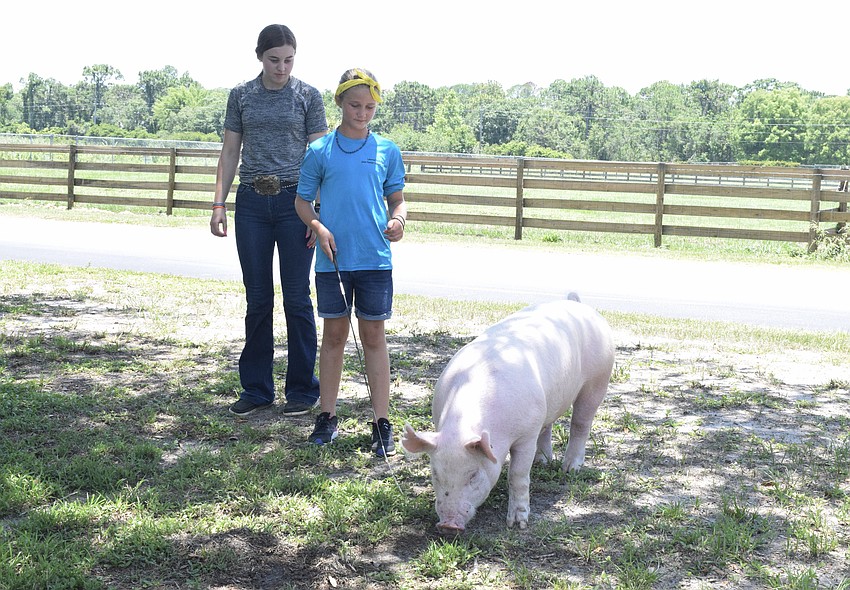 Leigh Ann Gilbert helps Lydia Egolf, a rising third grader, practice walking a pig.