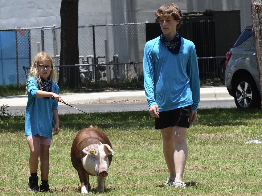 Peyton Pressley, a rising fourth grader, tries her hand at walking a pig with the help of camp counselor Byron Sim, a rising junior.