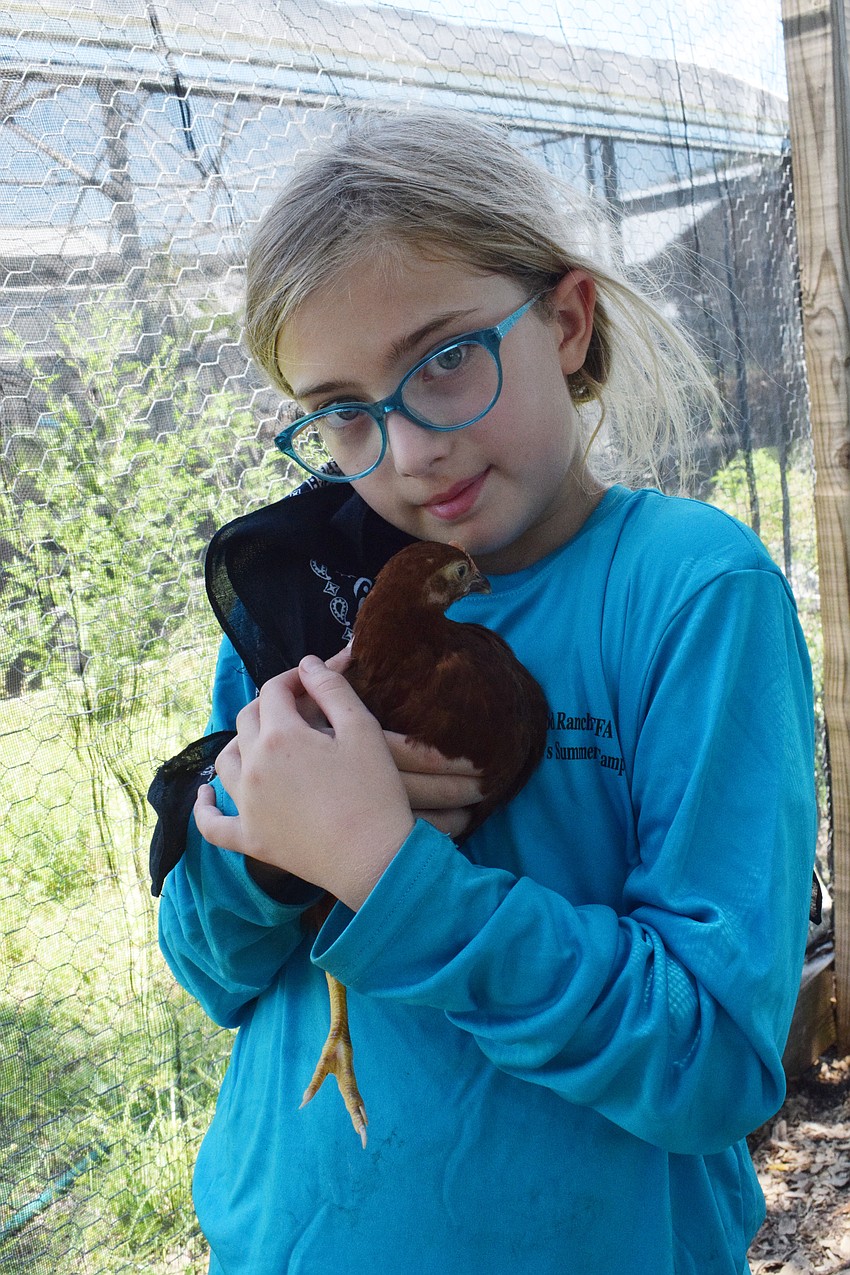 Sofie Hall, a rising third grader, holds a chicken close to her.