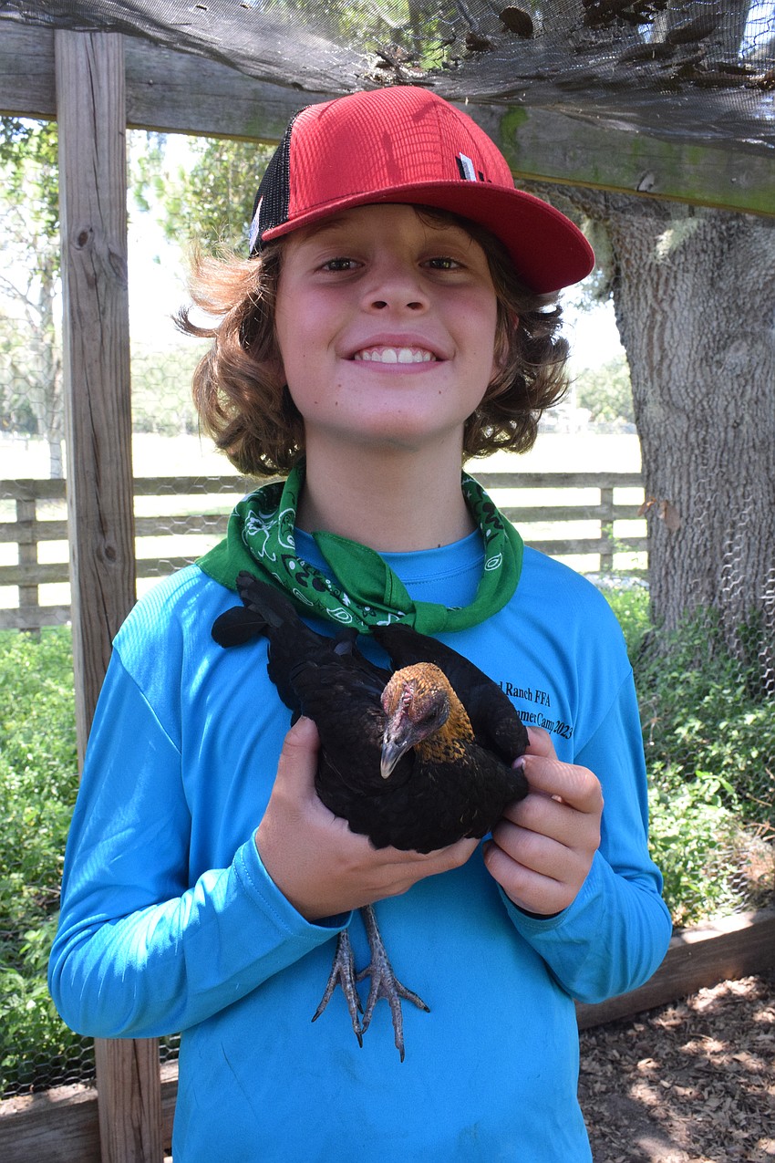Evan Carr, a rising fifth grader, learns about how to take care of chickens.