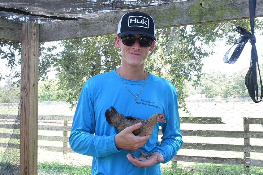 Noah Rueping, a rising senior, watches over campers in the chicken coop and teaches them how to property hold a chicken.