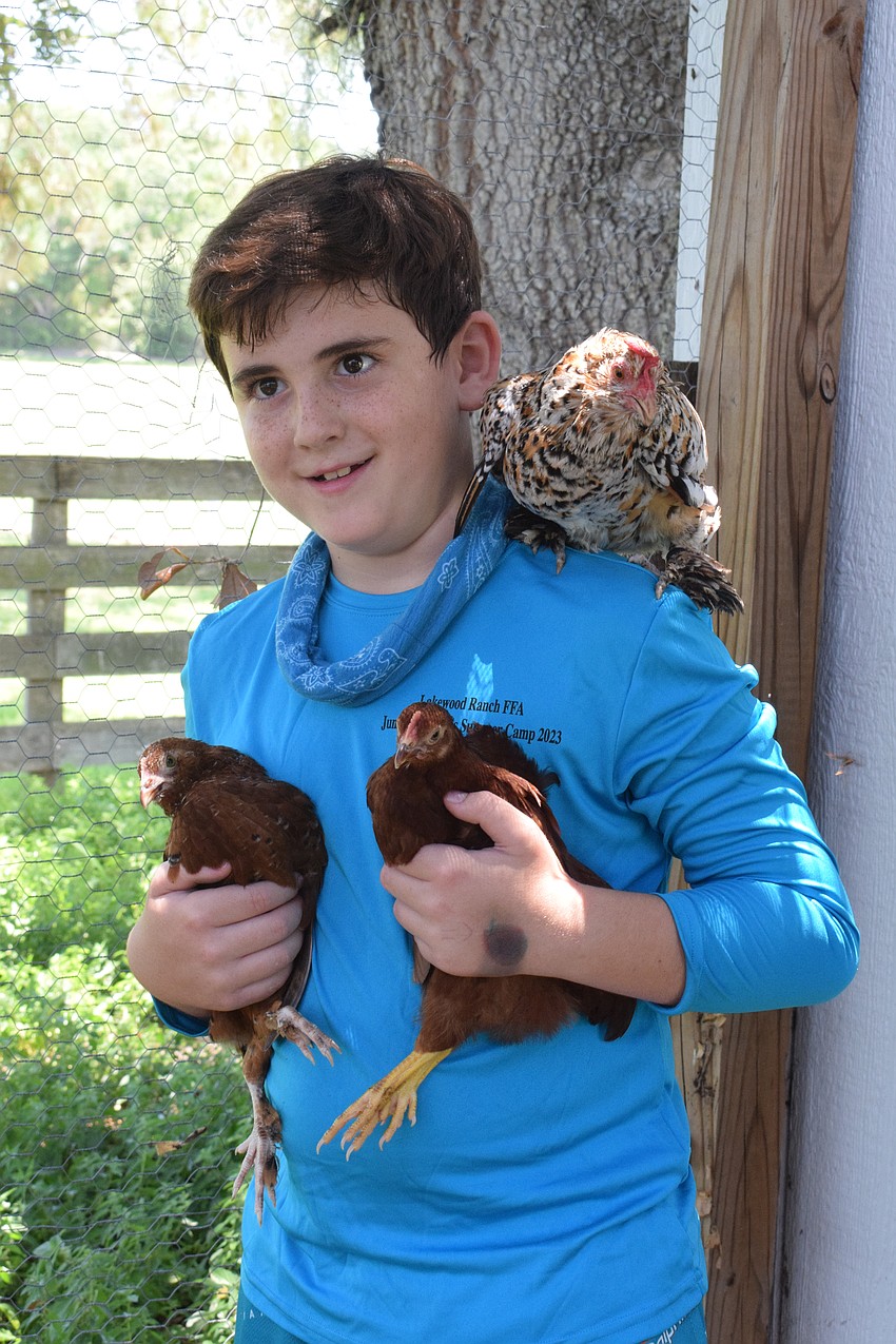 John Rubalcaba, a rising third grader, says he wanted to participate in Junior Ranchers because he likes animals and being at farms.