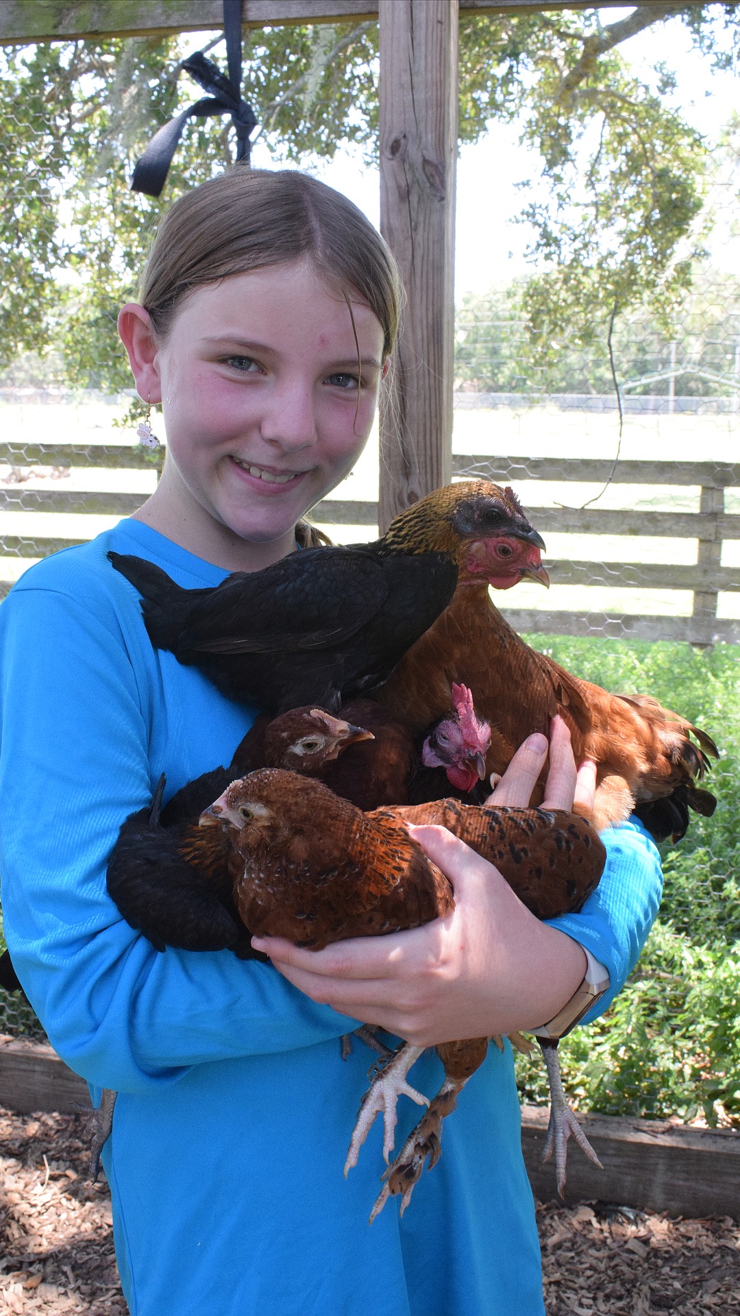 Junior Ranchers program introduces campers to life in agriculture ...