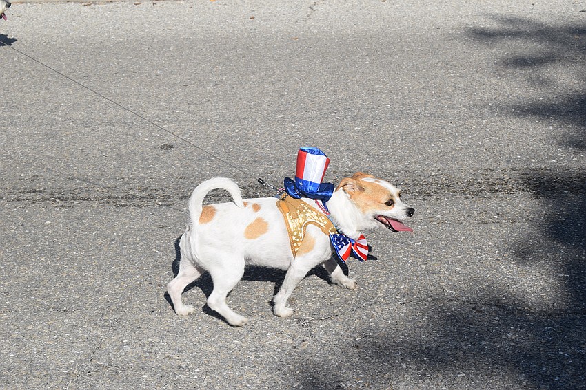 Longboat Key's 2023 Freedom fest parade featuring the Rotary Club's Hot Diggity Dog parade.