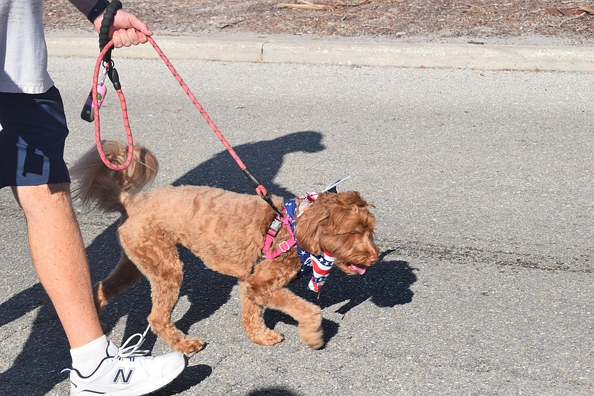 Longboat Key's 2023 Freedom fest parade featuring the Rotary Club's Hot Diggity Dog parade.