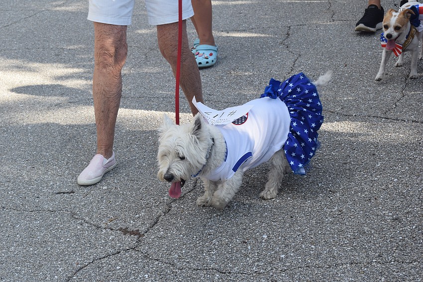 Longboat Key's 2023 Freedom fest parade featuring the Rotary Club's Hot Diggity Dog parade.