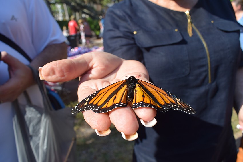 Phyllis Black catching a butterfly from the butterfly release.