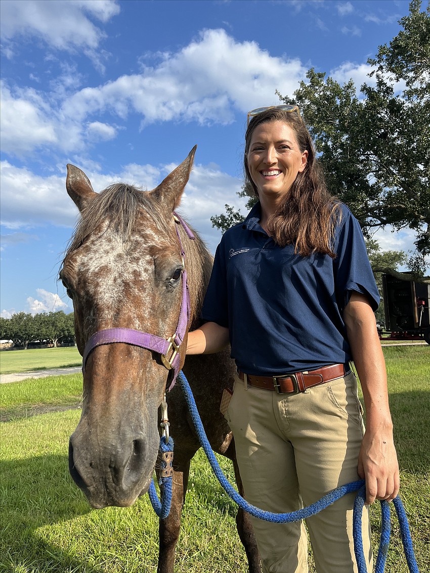 Sarasota Polo Club becomes home to leopard Appaloosas | Your Observer