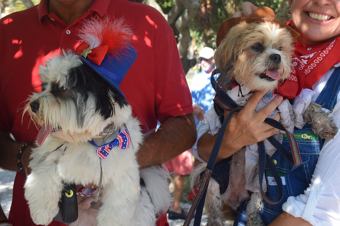 Tinkerbell and Bisou at Freedom Fest with their owners, Michael and Medge Jaspan and Frank and Martina Kinslow.