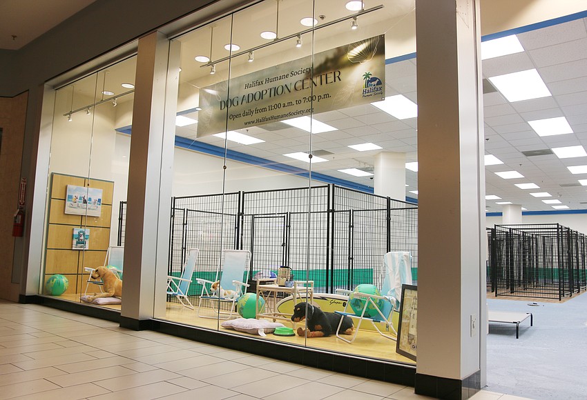 Halifax Humane Society's new adoption center to open Saturday ...