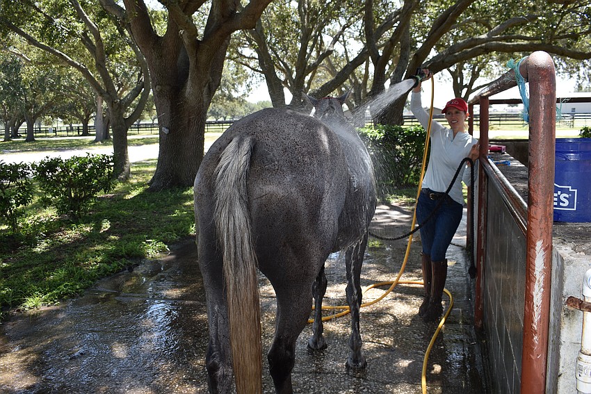 Nothing like a cool bath from Ashlie Osburg on a hot summer day at the Sarasota Polo Club.