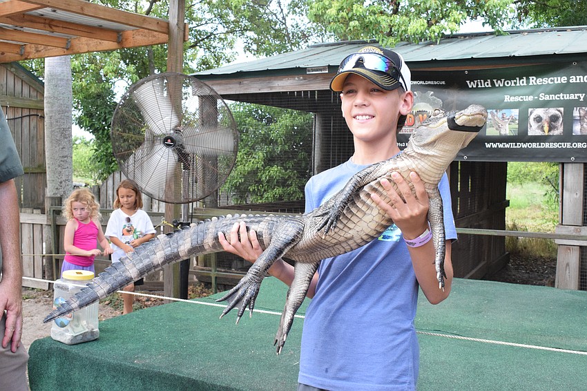 Bradenton's Dylan Anderson, who is 11, holds Noodle for the first time while visiting Mixon Fruit Farms. Anderson says Noodle is soft.
