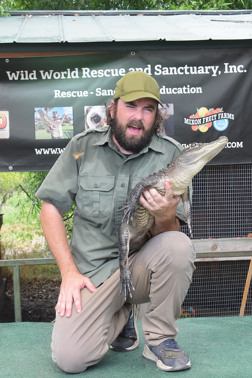 Damen Hurd, the president of Wild World Rescue, talks about Noodle, an American alligator, on Mixon Fruit Farms' final day.