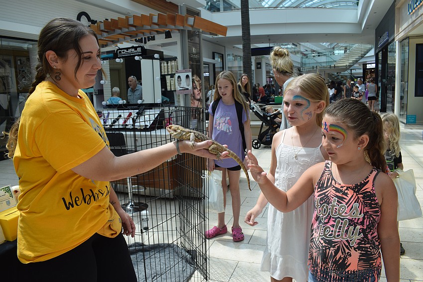 Webb's Wildlife owner Britney Webb holds Gimli, a bearded dragon, as Bradenton 8-year-old London Thacker and Palmetto 6-year-old Olivia Mancusi pet him.