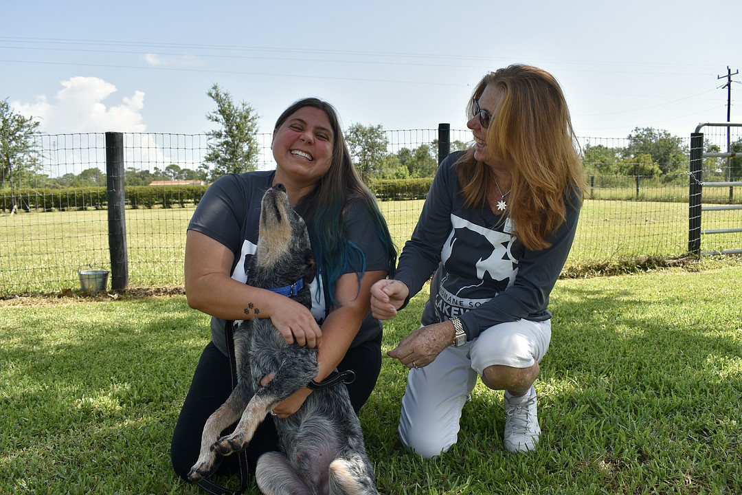 Humane Society at Lakewood Ranch volunteers go above and beyond | Your ...