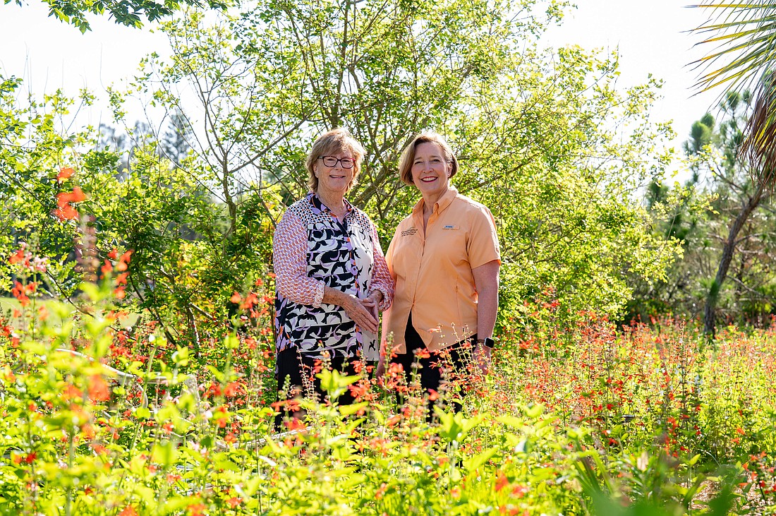 Jeanne Dubi and Christine Johnson are longtime friends and allies, and their organizations have regularly partnered over the years. This project is their most consequential undertaking.