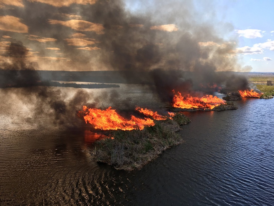 Prescribed fire helps reduce the possibility of dangerous wildfire while enhancing land’s environmental quality.