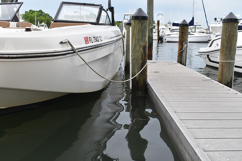 The high tide from the supermoon reaches just inches from the shoreline in the marina at Bayfront Park.