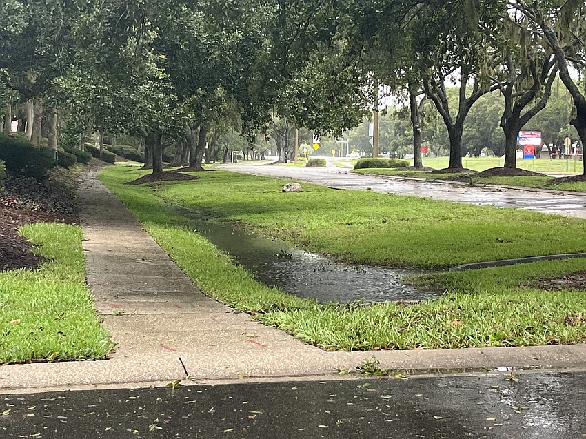The storm drain off Palmbrooke Terrace is inundated with water.