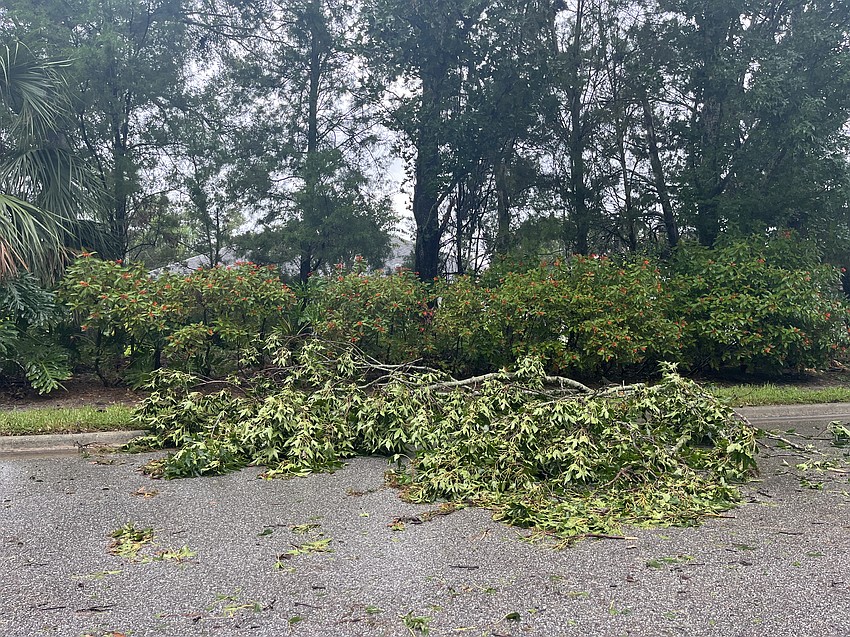 Branches block part of the road on Clubhouse Drive between River Club and Summerfield.