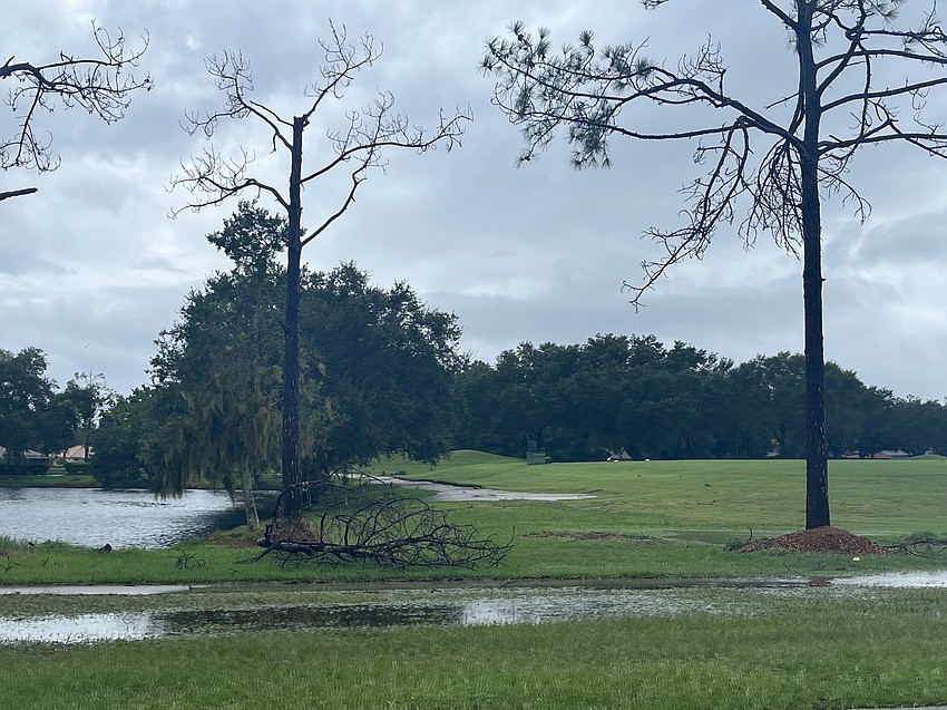 Water floods the sidewalk near River Club Golf Course.