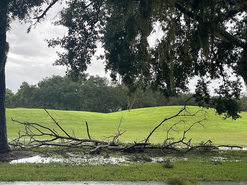 Tree branches fall and water floods the sidewalk by River Club Golf Course.