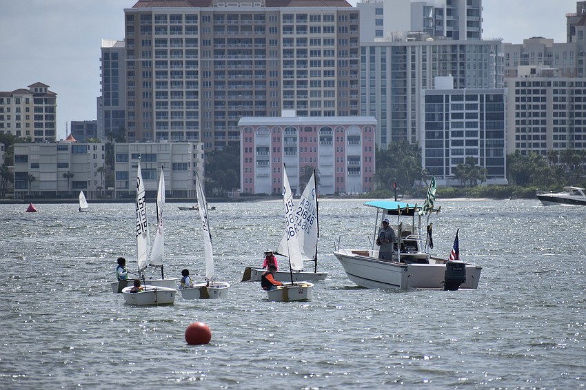 Optimist Emerald sailors race near the shore in Sarasota Bay.