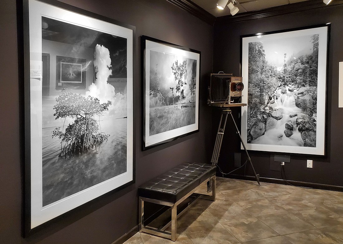 Clyde Butcher's iconic black-and-white photos of Florida landscapes are on display in his Venice Gallery and Studio.