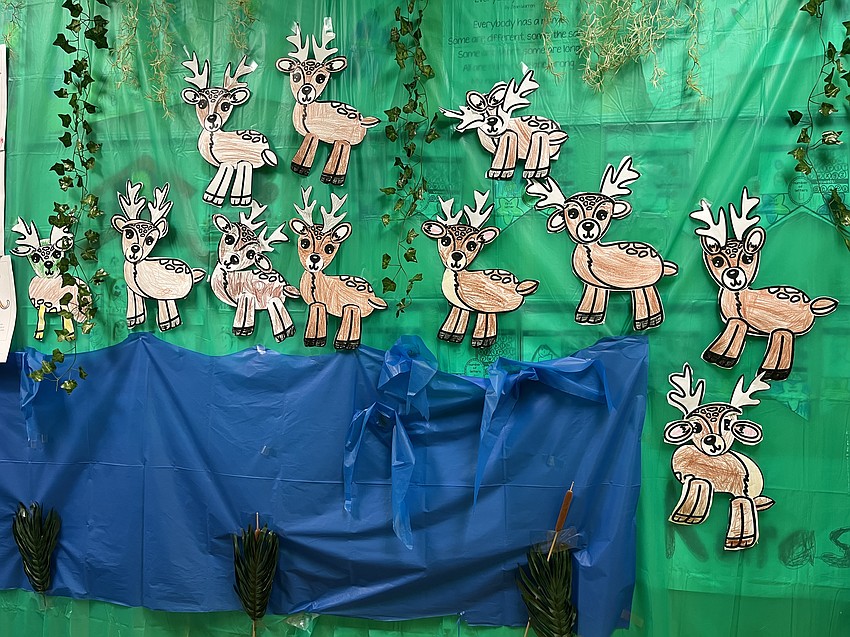 Kindergarten students make their own white-tailed deer that are posted on the walls in the hallway. Each class chose an animal that lives in the Everglades to research.