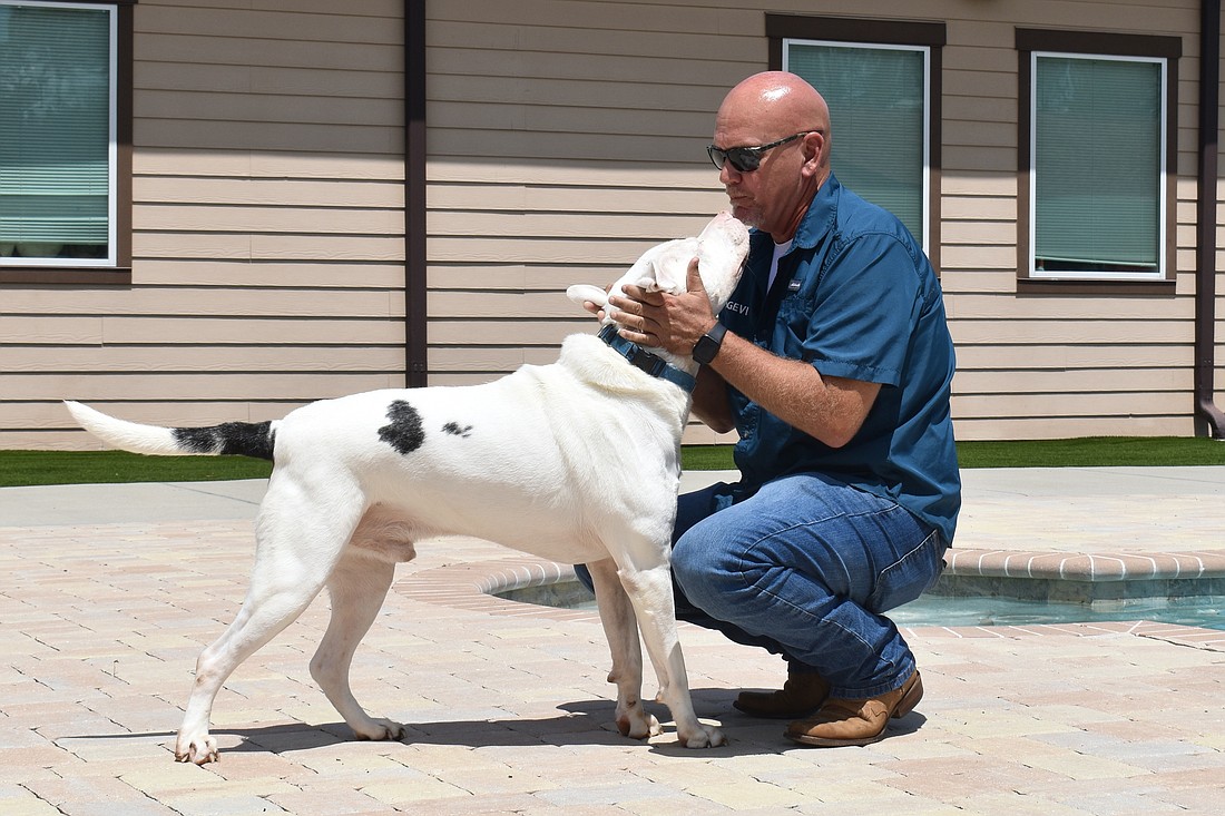 Neil, an American Bulldog, runs straight to Donte's Den Director of Operations Sean Hill. Neil was born deaf, so Hill said he needs a special kind of owner.