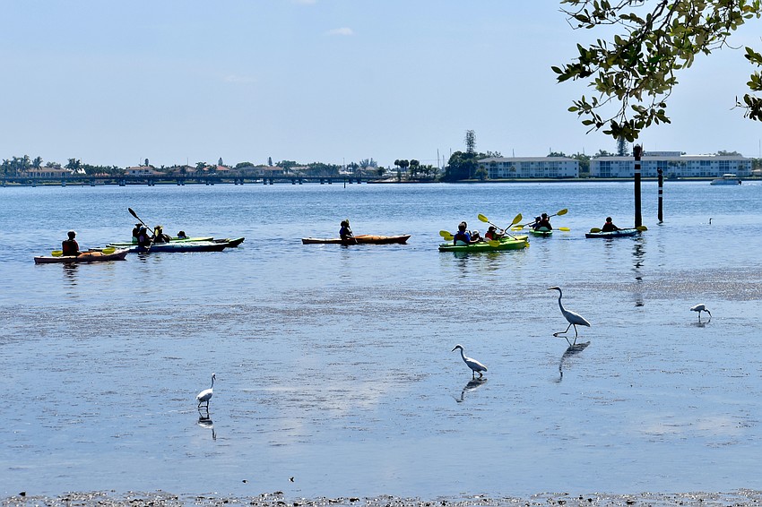 Kayakers head out across the bay in a free kayaking tour offered by Wayne Adventures.