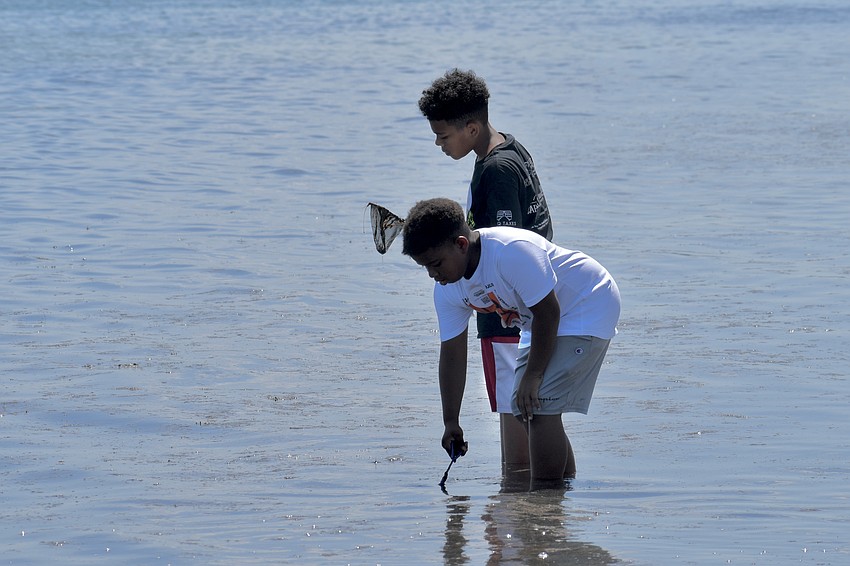 Jeremy Jones and Christian Jones, 10, enjoy dip netting in the bay.