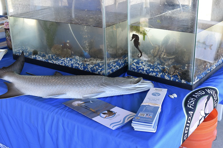 The Fish and Wildlife Research Institute included a selection of marine animals that kept kids intrigued.