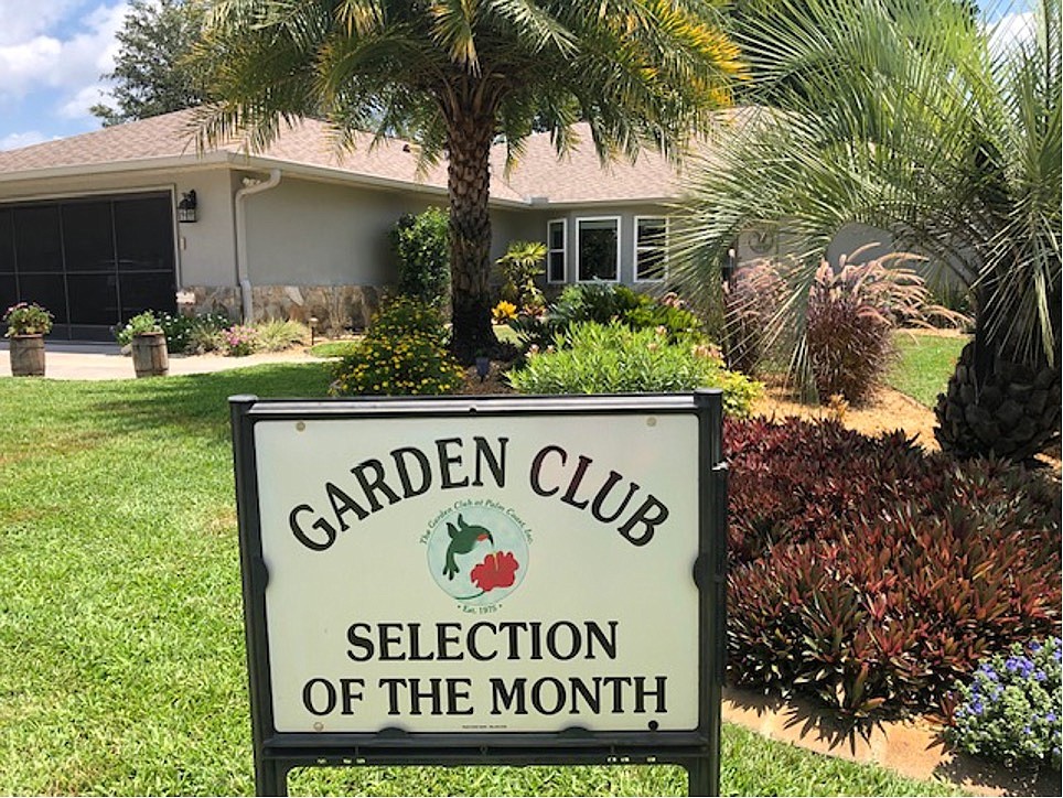 The Meads' vegetable garden has climbing tomatoes, basil, chives and pineapples. Courtesy photo