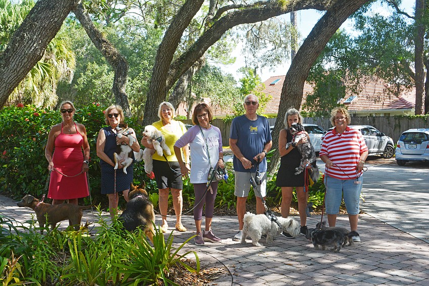 Lana Murphy with Remi, Mary Lou Davidson with Lyra, Beth Bridges with Teddy, Cynthia Baita with Talia, Tim Johnson with Jersey, Wendy Brandeis with Teddy, Jeanne Simpson with Lucy and Siggie