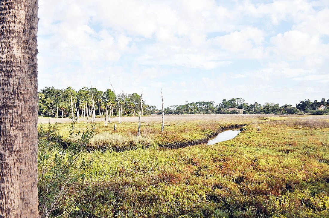 The City Council just approved the second phase of improvements to Long Creek Nature Preserve. File photo