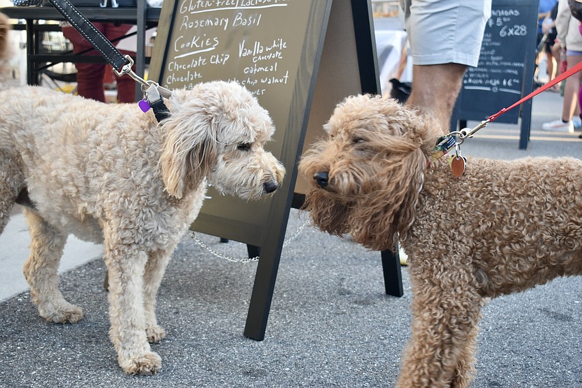 Dogs are welcome at Ranch Nite Wednesdays, too.