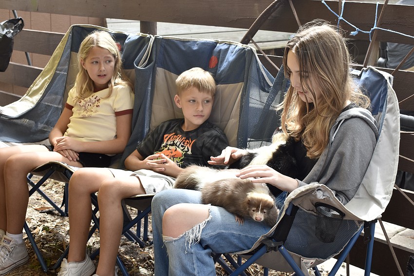 Macy Purmort, 11, Brody Purmort, 8, and Natalie Purmort, 3, hold a skunk.