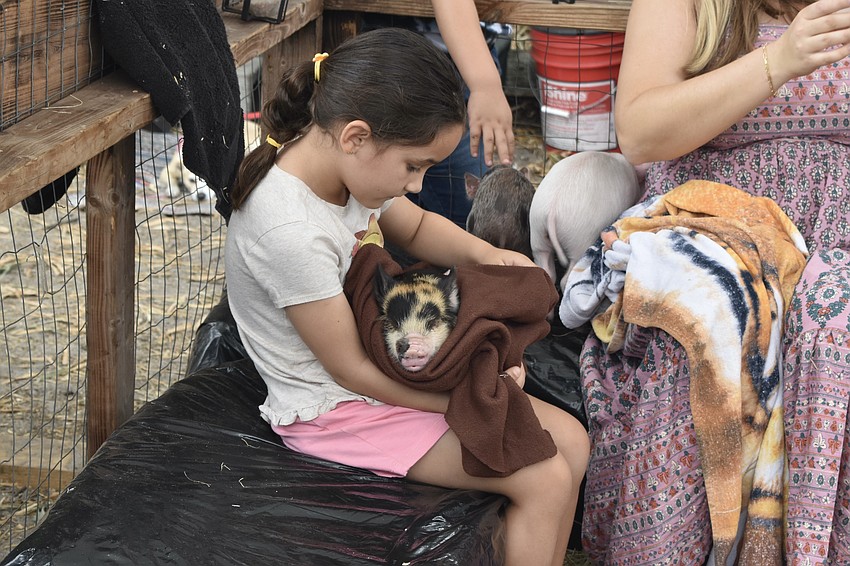 Oceana Manzano, 6, holds a piglet.