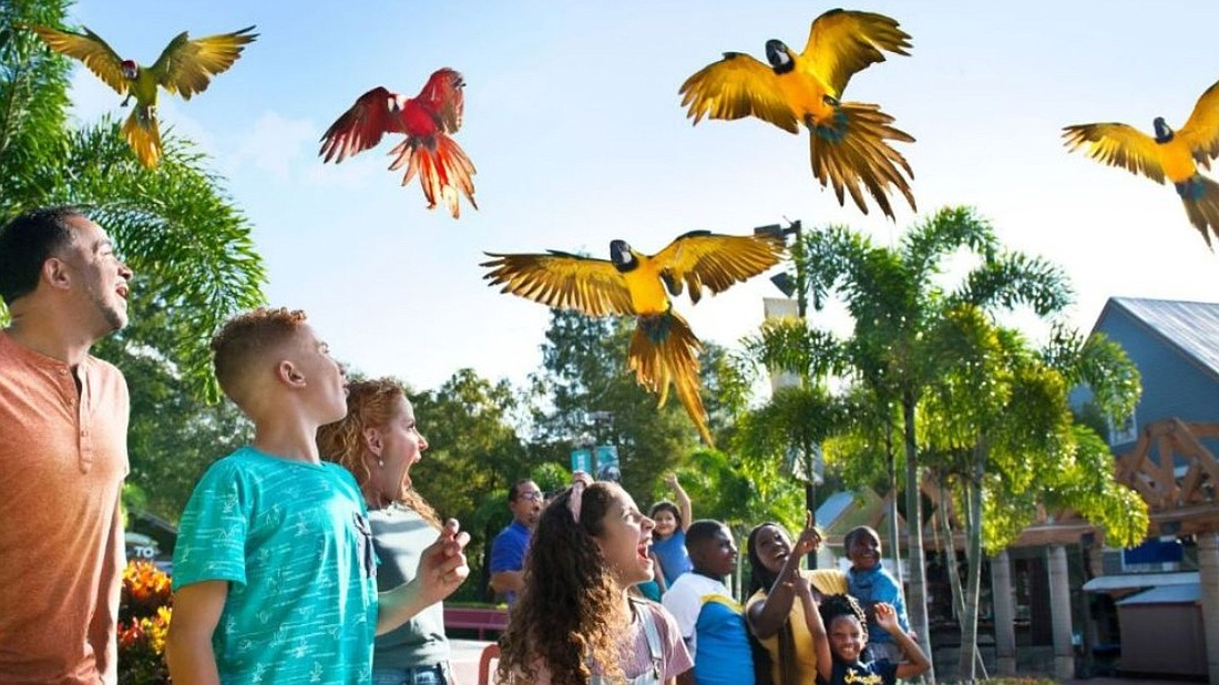 ZooTampa released its fiscal year 2023 report and plans for 2024, including a macaw recovery network.