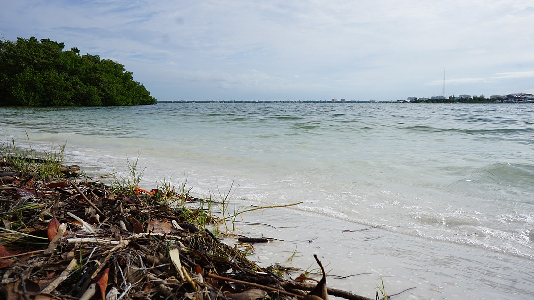 Clearer water and more seagrass show the effects of improved water quality in Sarasota Bay.