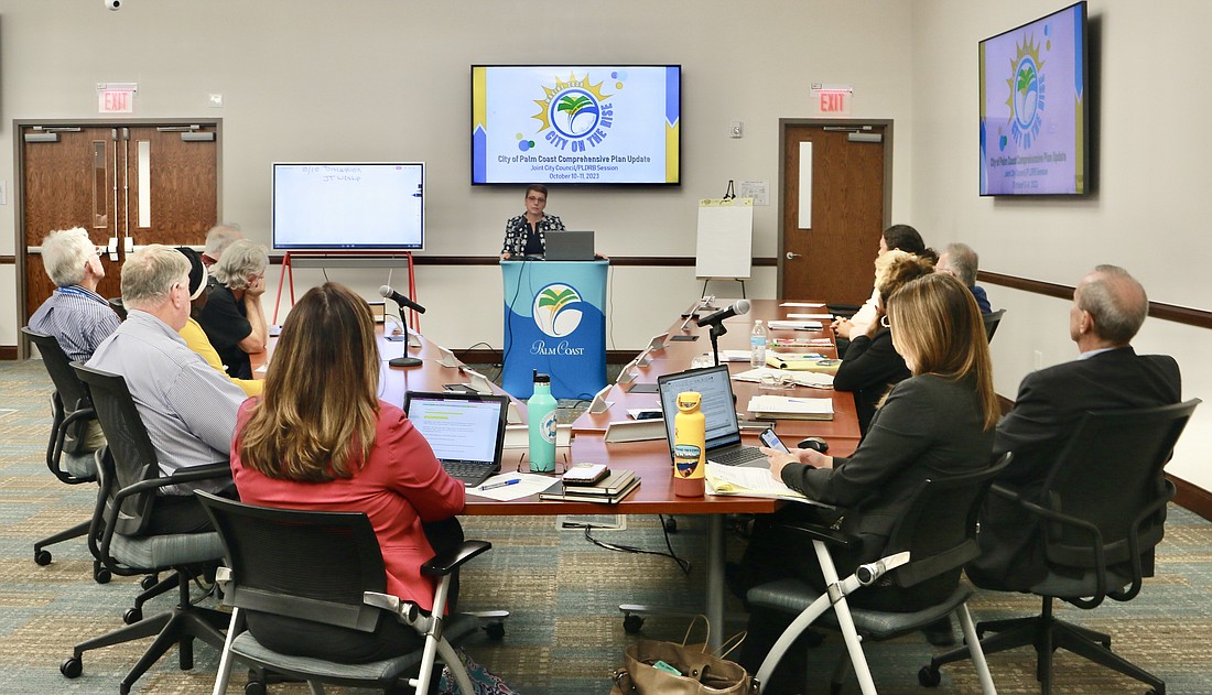 Palm Coast Planning Board and City Council members at the joint kick-off meeting for the city's Imagine 2050 comprehensive plan update. Photo by Sierra Williams