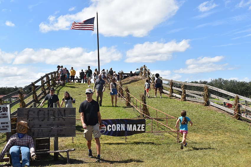 The Hunsader Farms Pumpkin Festival has a giant corn maze to wander through. For the little ones, there's a maze through low bales of hay.