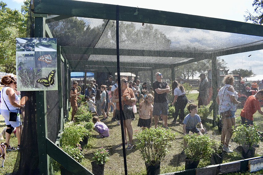 The butterfly experience is one of many activities the Pumpkin Festival offers.