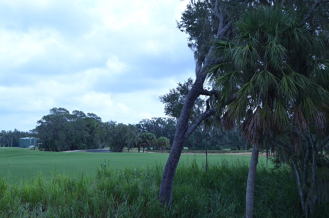 With lush preserved natural areas and established grass, Bobby Jones Golf Club appears ready for play.