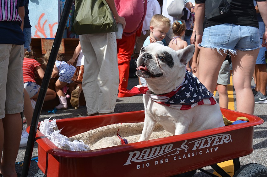 Walther the bulldog enjoyed being pulled around in his red wagon.