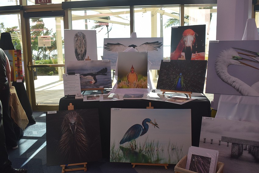 Save Our Seabirds hosted 