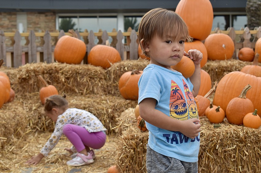 Luna and Zander Hartman enjoy the pumkin patch at The Green at UTC.