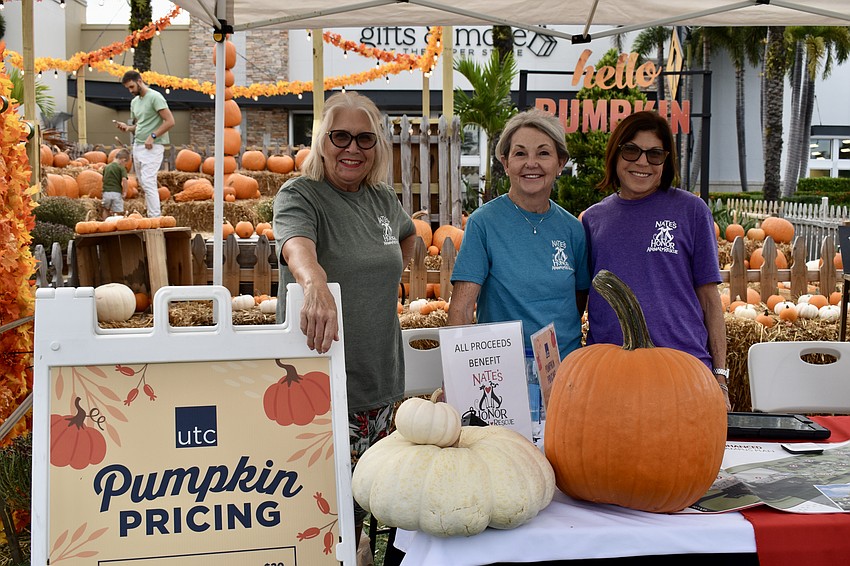 Volunteers Barbie Osterling, Peg Scruggs and Janis Schechter sell pumpkins to benefit Nate's Honor Animal Rescue.
